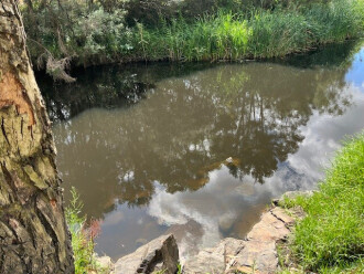 Creek water muddy / tannic