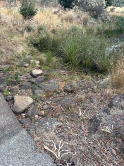 Photo of creek immediately downstream of site = dry (noting pool further down)