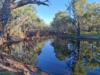 Water level low 8.1 on gauge