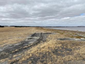 The landscape is very dry. The edge of the water is much lower, further away from the shoreline by comparison with preovious observations. I saw no birds.