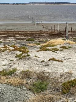 This photo taken when the water level is very low can be a helpful reference for when there is more water in the Lake.
