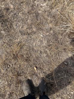 Dry