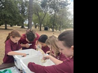 Students practicing identifying macroinvertebrates 