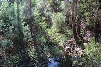 Upstream