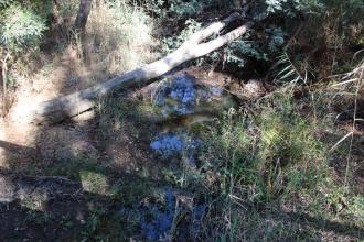 Down stream