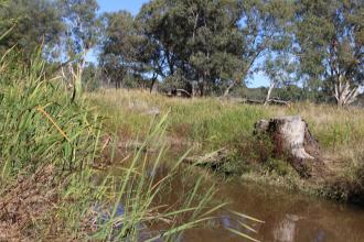 Down stream