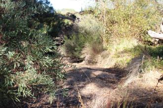 Down stream