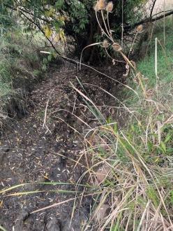 Dry creek bed so monitoring didn't take place for March 2025