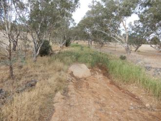 taken on 6/04/2025 showing the growth along creek, drying out