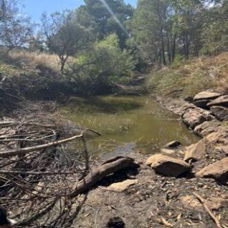 Pool downstream of site