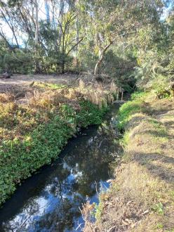 Stony Creek, Cruickshank Park Yarraville, downstream