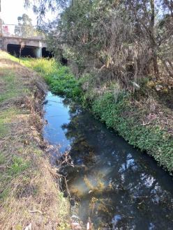 Stony Creek, Cruickshank Park Yarraville, upstream