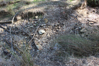 Site