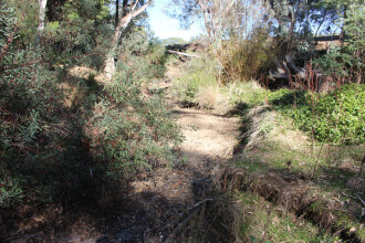 Down stream
