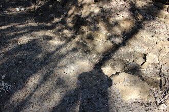 Waterhole down stream