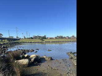Several mudflats were exposed and we saw a few different wading bird that we haven't seen before.