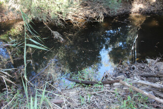 Site