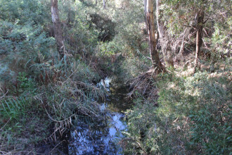 Upstream