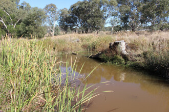 Down stream