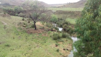 Looking Downstream from Bridge