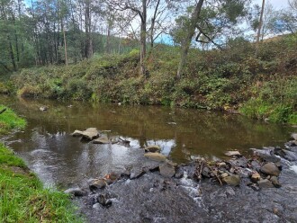 Apex park Boolarra South, looking up stream