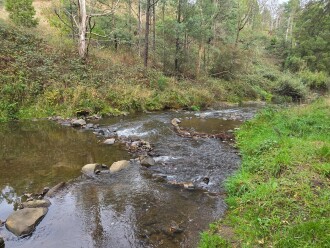 Apex park Boolarra South, looking down stream