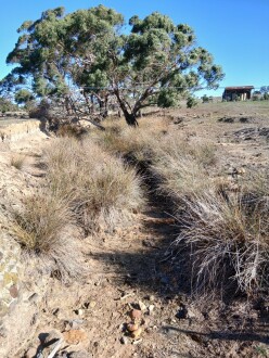 Looking Upstream