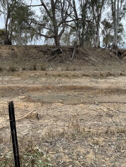 Mostly dry, just mud remaining
