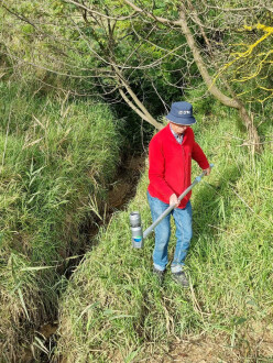 Coronae, sampling site