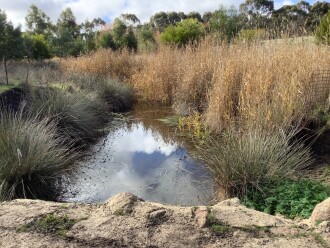 Upstream
