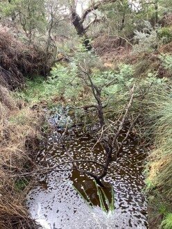 Downstream