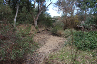 Down stream