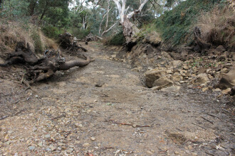 Pool further down stream (dry)