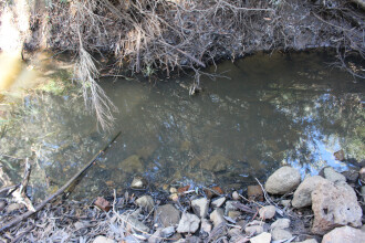 Site