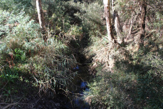 Upstream