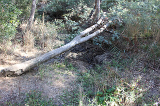 Down stream