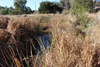 Upstream