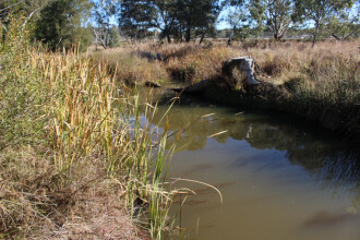 Down stream