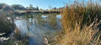 site where samples were collected to test. It's approx 200 m north of old site