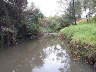 upstream of sampling point