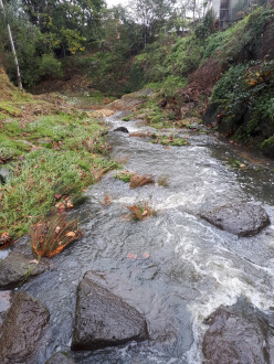 downstream of sampling point