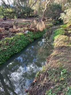 Stony Creek, Cruickshank Park , Yarraville, downstream