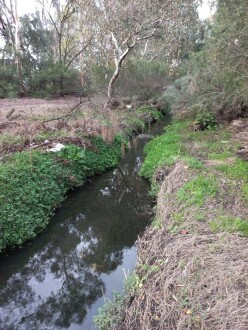 Stony Creek, Cruickshank Park , Yarraville, downstream