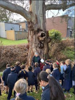 Describing sampling to Yr 3/4