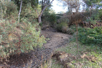 Down stream