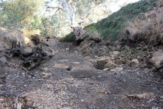 Dry pool further down stream