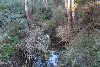 Upstream