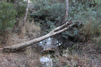 Down stream