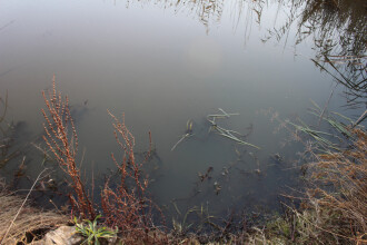 Site