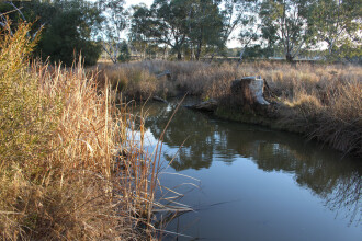 Down stream